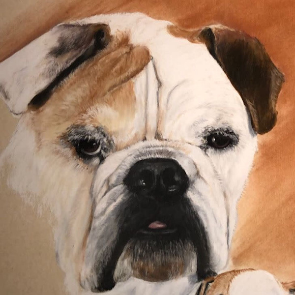 Spike, Bulldog Art PET PORTRAITS BY JOE BREWER