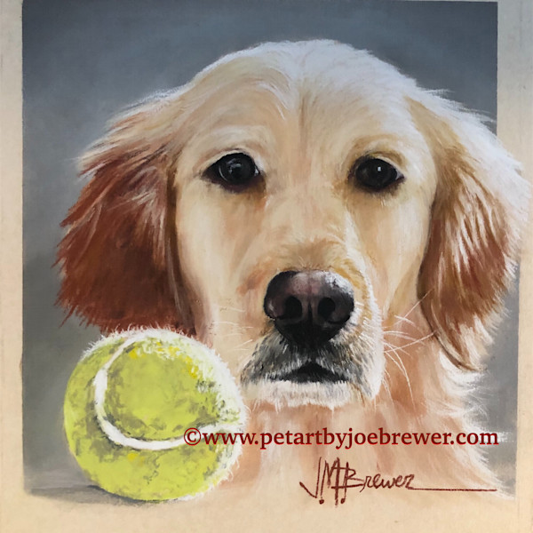 Charleigh Grace, Golden Retriever Art PET PORTRAITS BY JOE BREWER