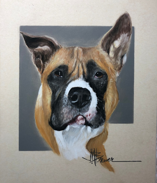 Dog gallery Art PET PORTRAITS BY JOE BREWER