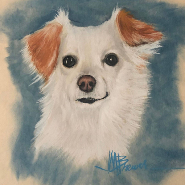 Sophie, Lab , Terrier Mix Art PET PORTRAITS BY JOE BREWER