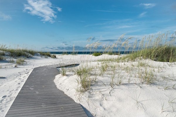 Beach Seagrass Art | Emerald Coast Art