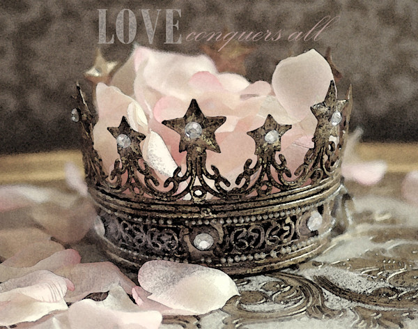 PINK_PETALS_liociz.jpg