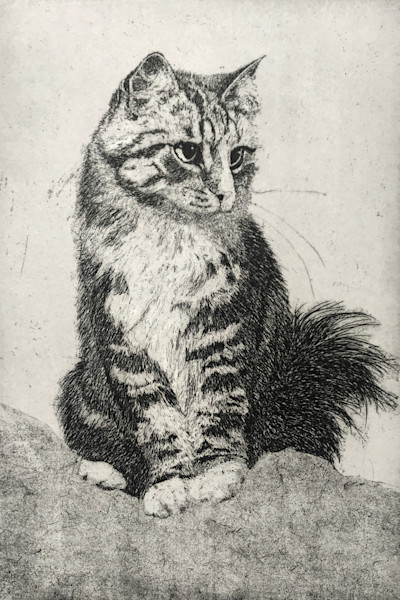 キャロルコレット　サマードリーム Carol_Collette_-_JULY_1_ijdbtk.jpg