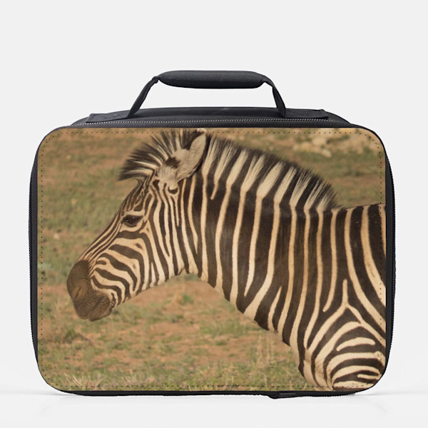 Zebra Photo Lunch Box-Great Photos on Your Lunch bag