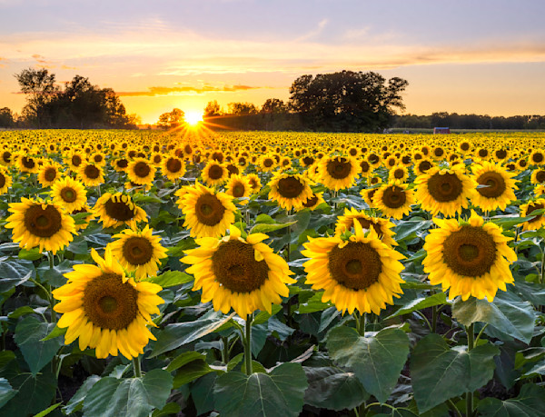 Spring Summer Photography of Minnesota's North Shore along Lake Superior