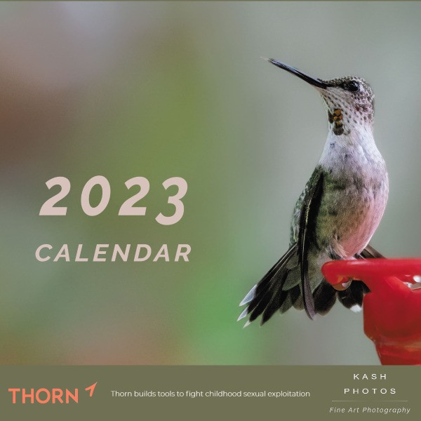 2023 Hummingbird Calendar Fundraising