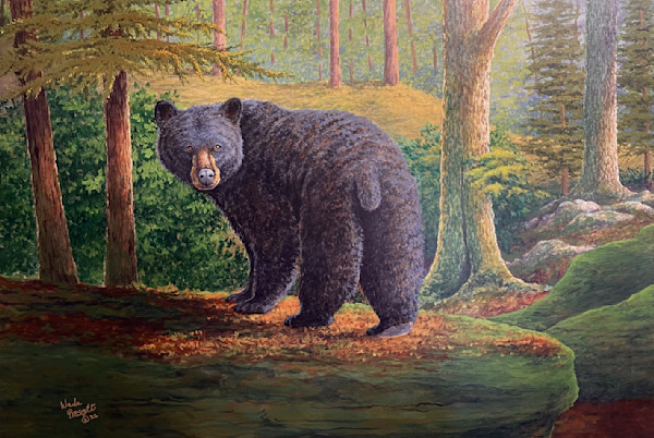 Wildlife Art Of Wade Prescott Shop Art   IMG 8102 Tyabtg 