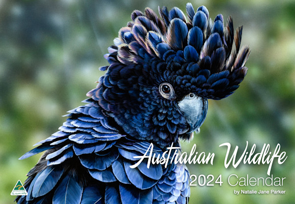 Australian Wildlife 2024 Wall Calendar Australian Wildlife Art By 