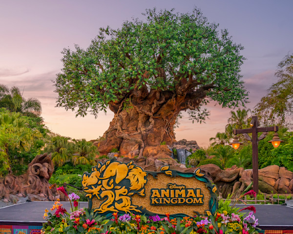 Animal Kingdom 25th Anniversary Disney Art by William Drew Photography