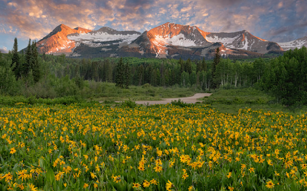 Explore imagery from the Center of Colorado