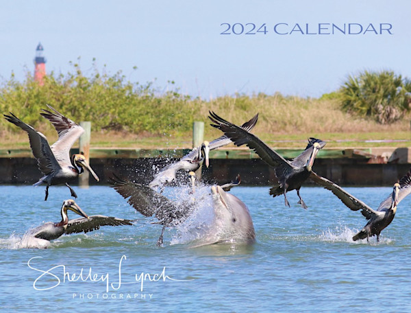 2024 Calendars Photography Art Shelley Lynch Photography   WILDLIFE COVER 24 N1ebrp 