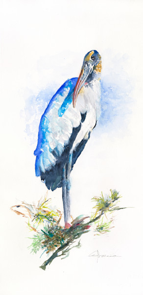 Wading BIrd Watercolor Paintings | Claudia Hafner Watercolor