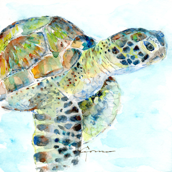 Sea Turtle Watercolor Paintings