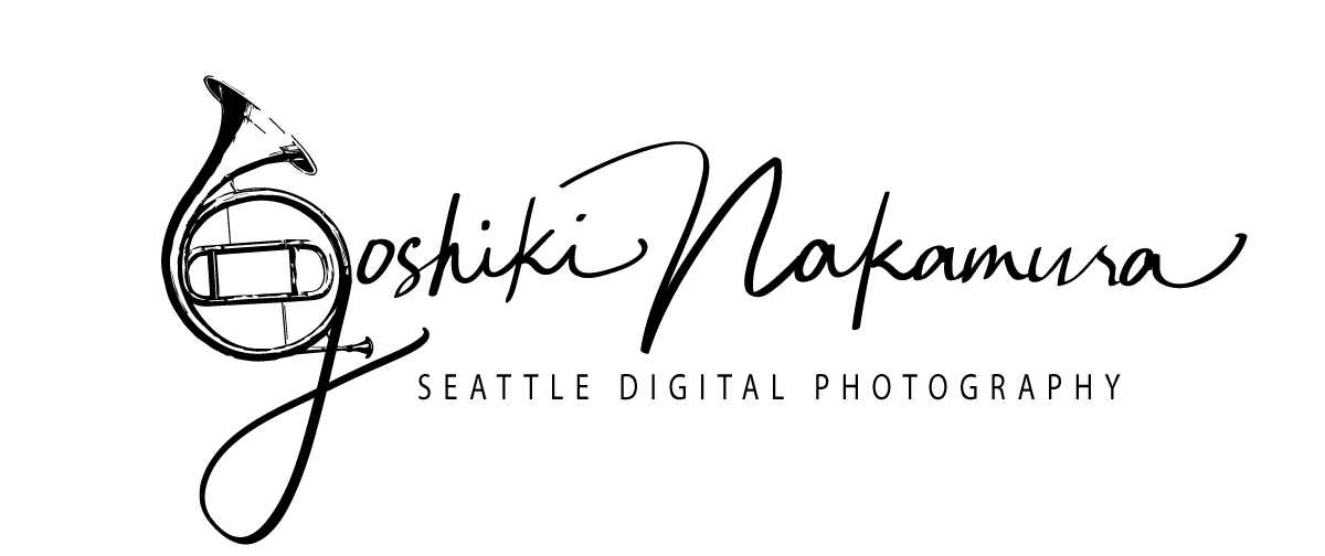 Seattle Digital Photography