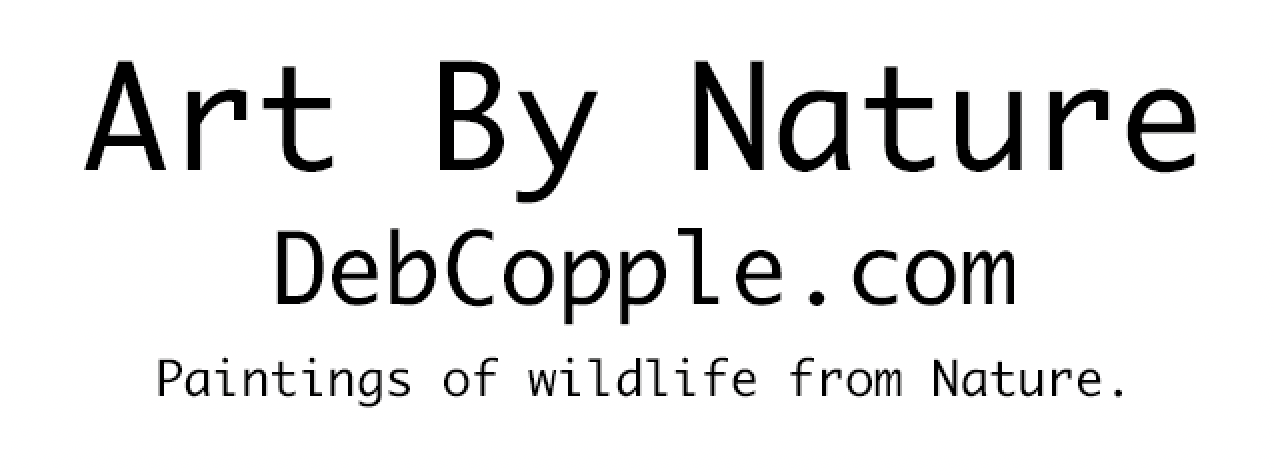 debcopple