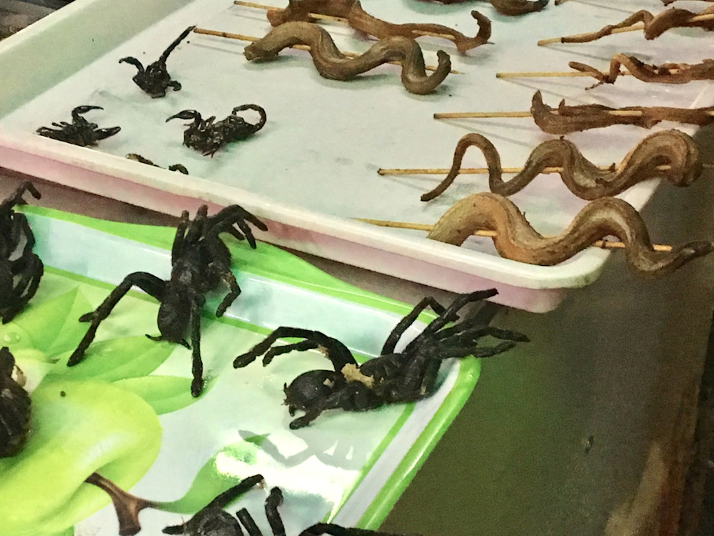 Fried tarantula and snakes on a stick
