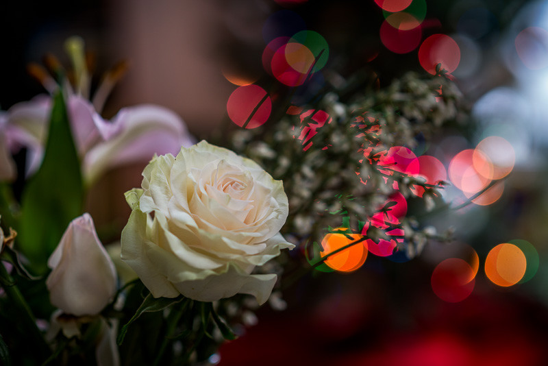 A bouquet of flowers with the bokeh of Christmas lights in the background