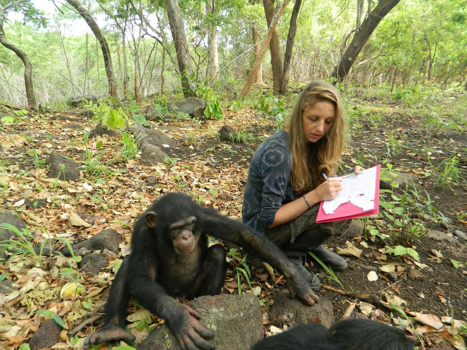 Melissa Ongman with Tango at the Chimpanzee Conservation Center