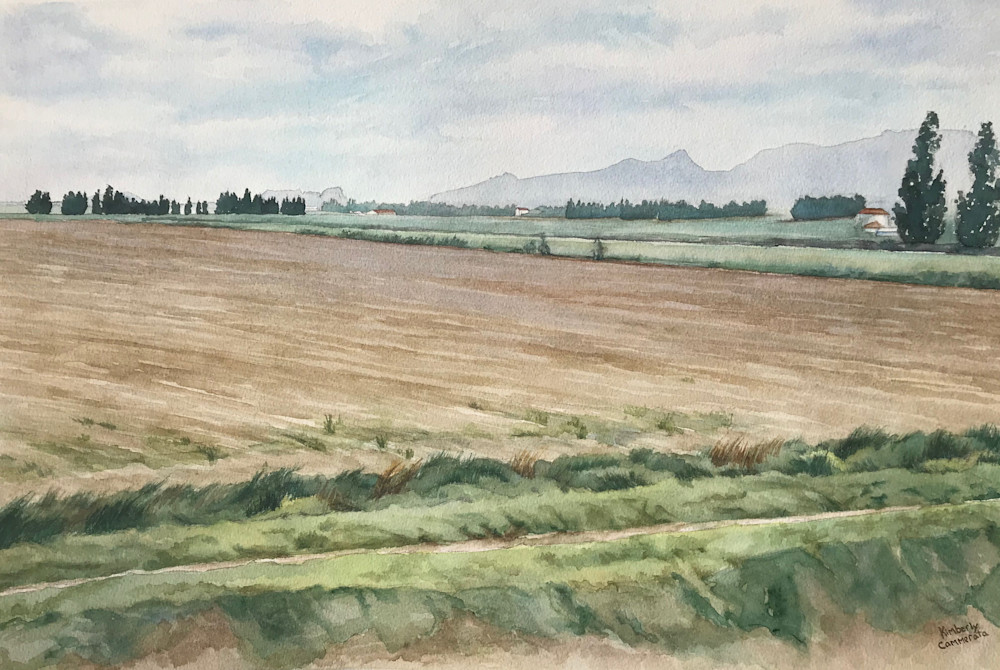Farmland Near Arles | Kimberly Cammerata