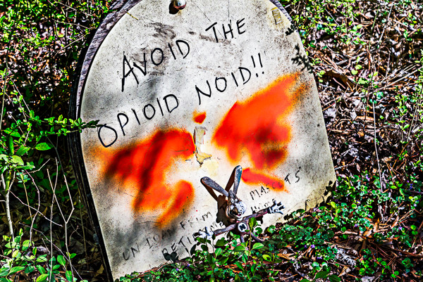 A mock headstone with the words "Avoid the Opioid Noid" written on it.