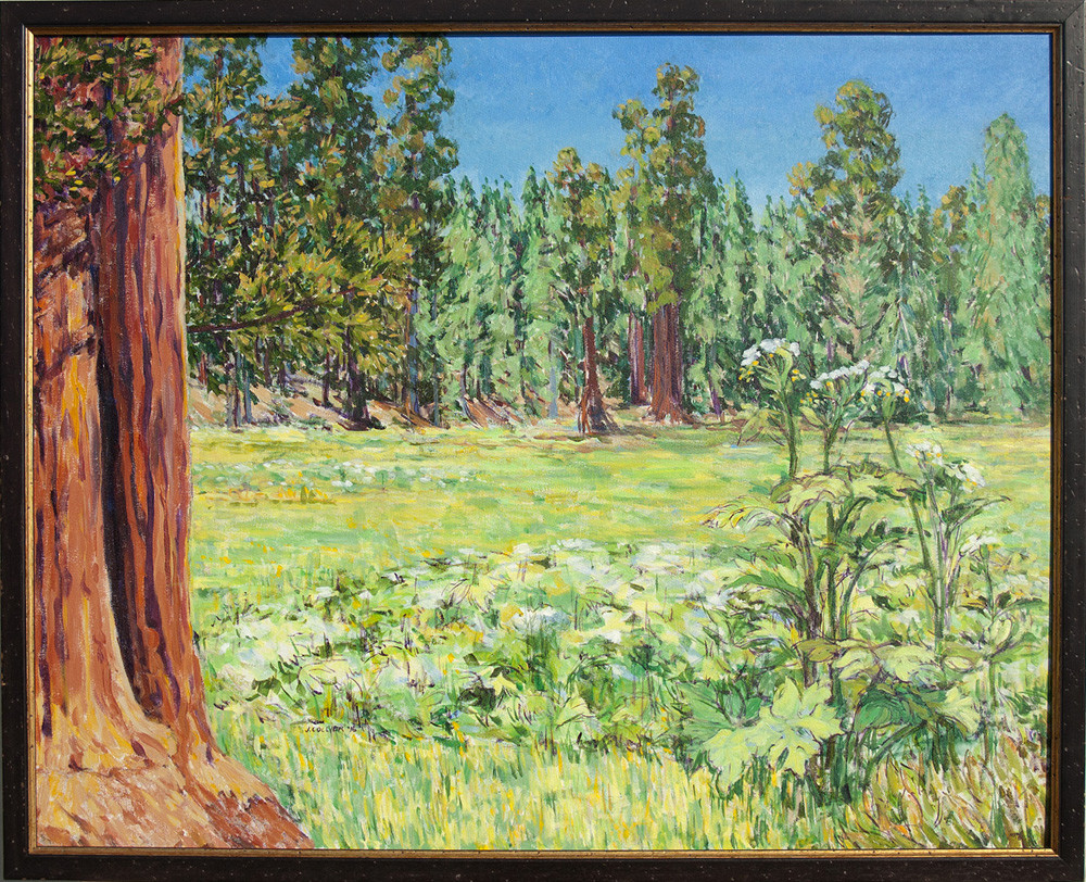 Round Meadow in Bloom, Giant Trees Trail, Sequoia National Park