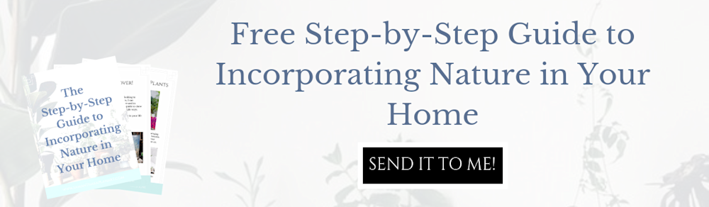 The free Step by Step Guide to Incorporating Nature into Your Home