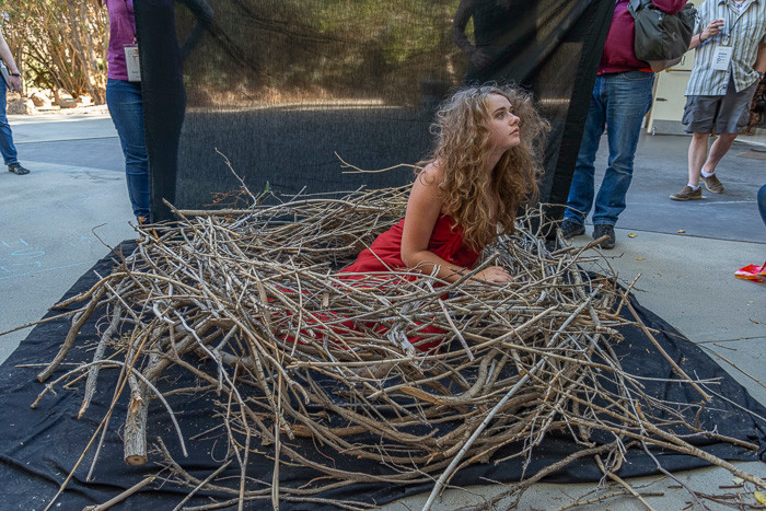 Ayvarie in a human-size bird's nest