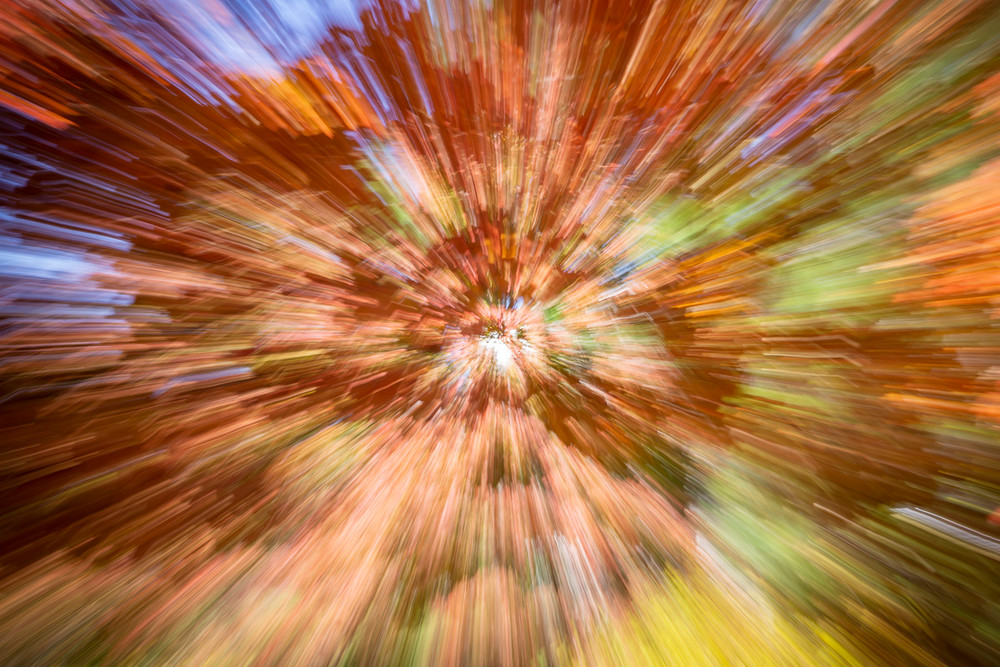 An abstract photo of a colorful tree in fall in Atlanta