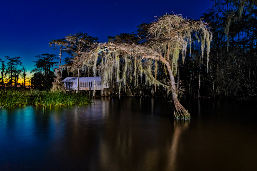 Amazing nighttime swamp photography