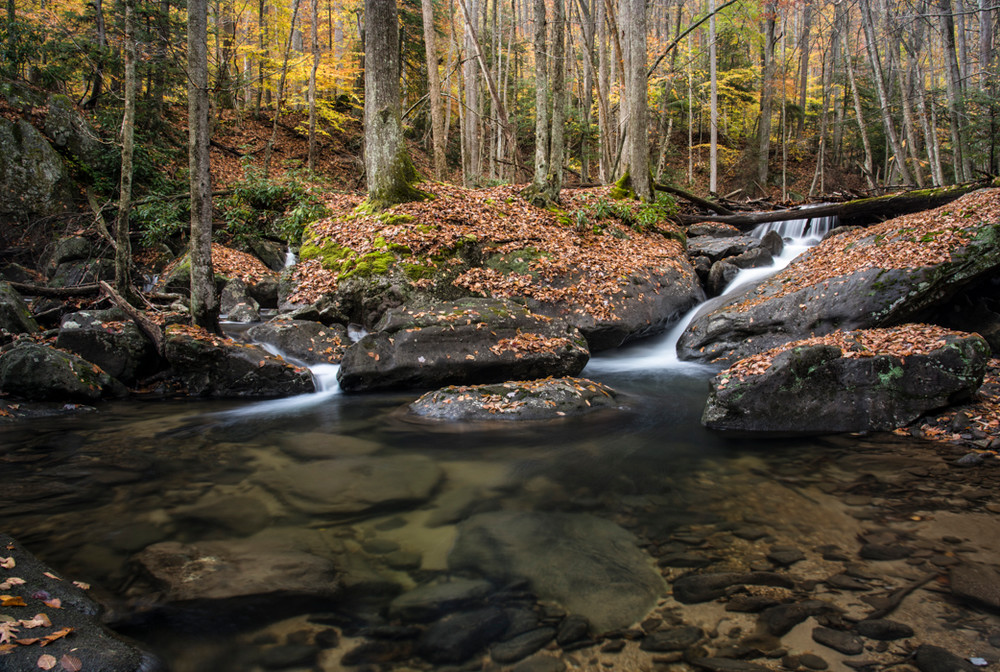 Laurel Creek in West Virginia's Holly River State Park contains many small waterfalls.