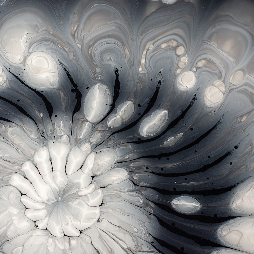 Black & White Collection