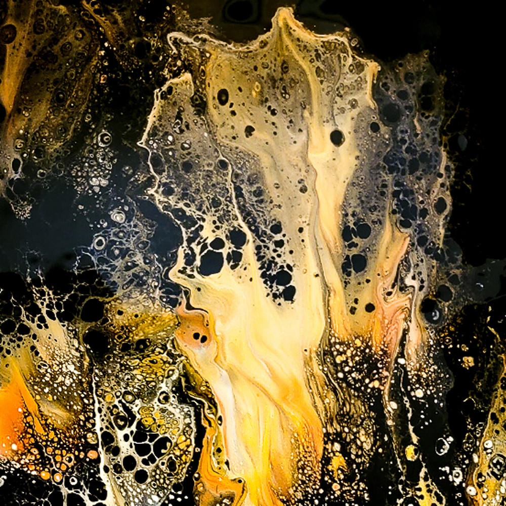 Black & Gold Collection