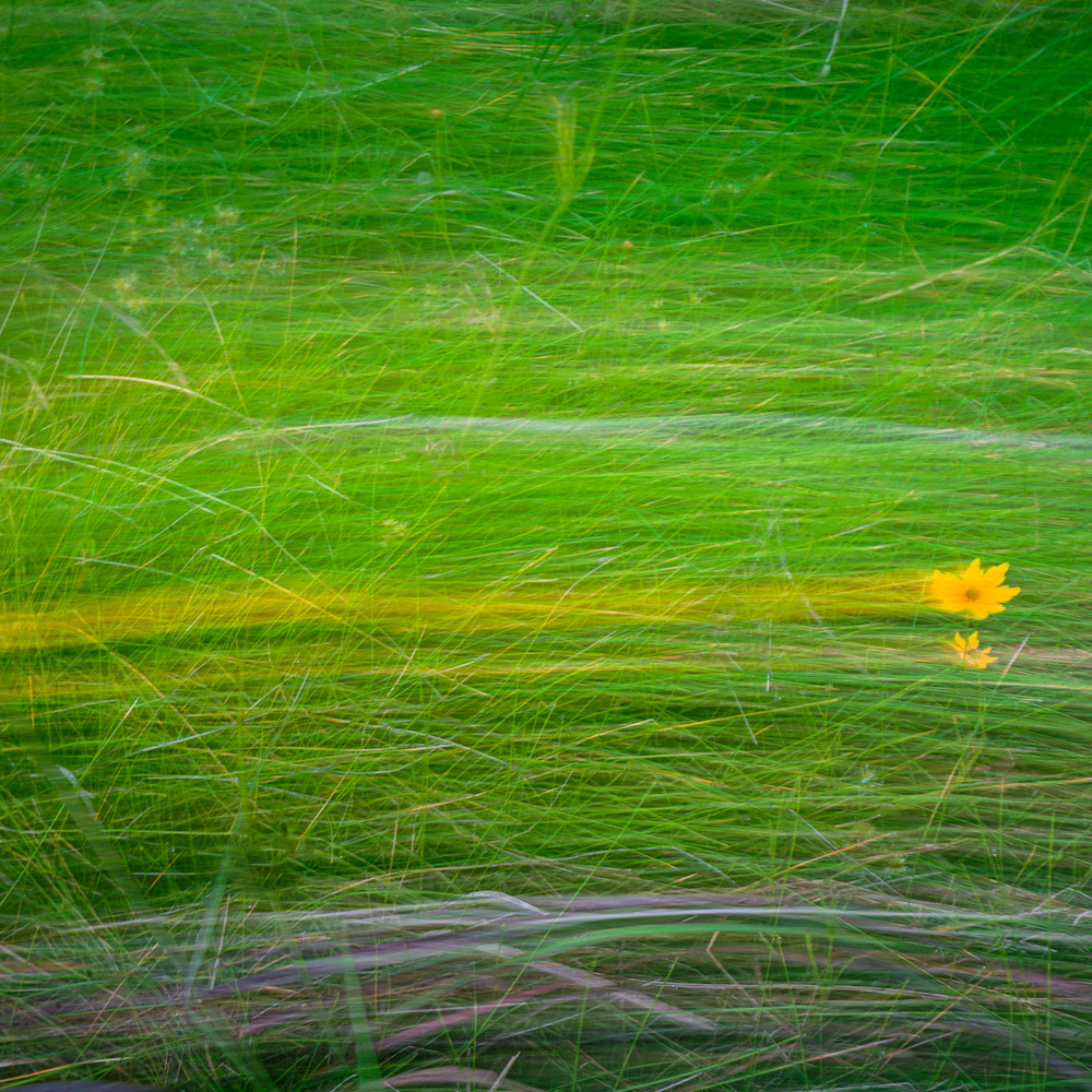 Featured Photo of the Month