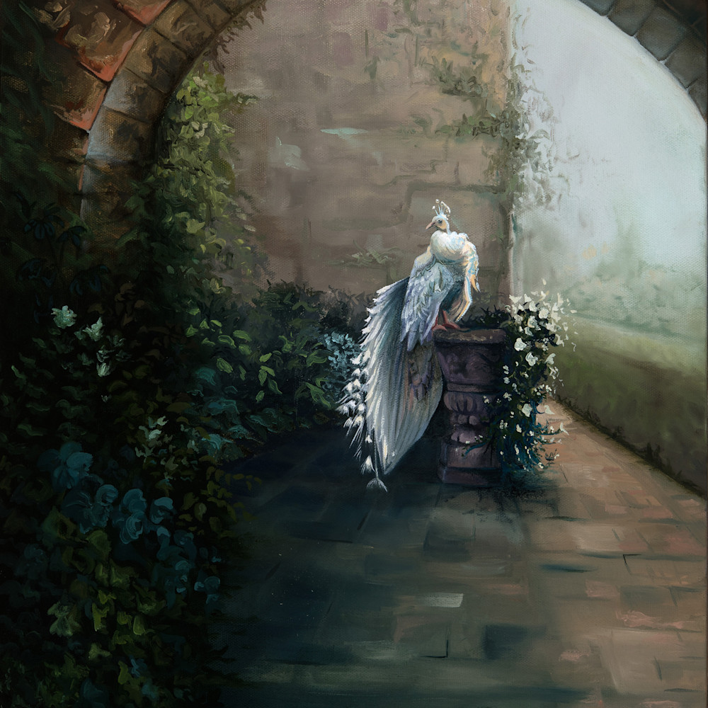 Misc Birds - Oil on Canvas