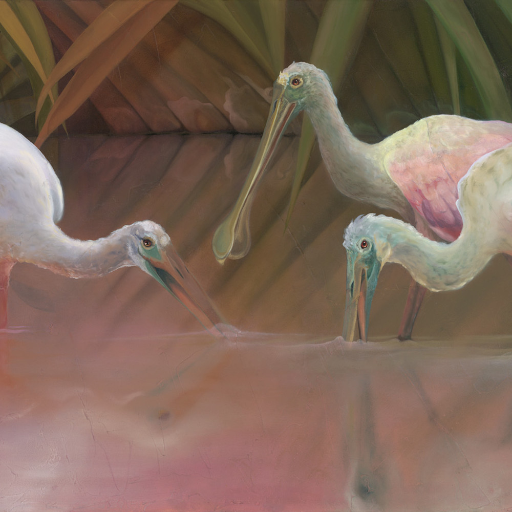 Spoonbills