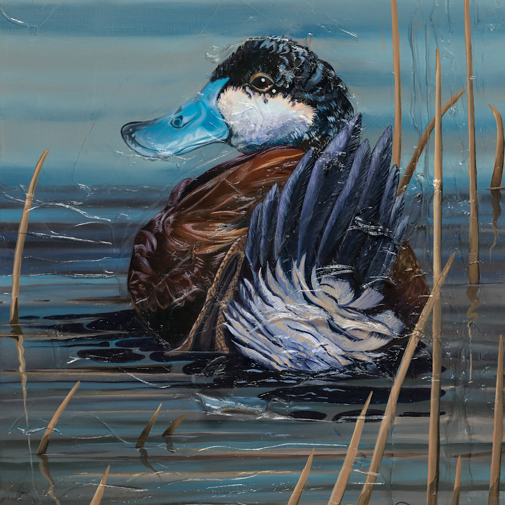 Ducks - paintings