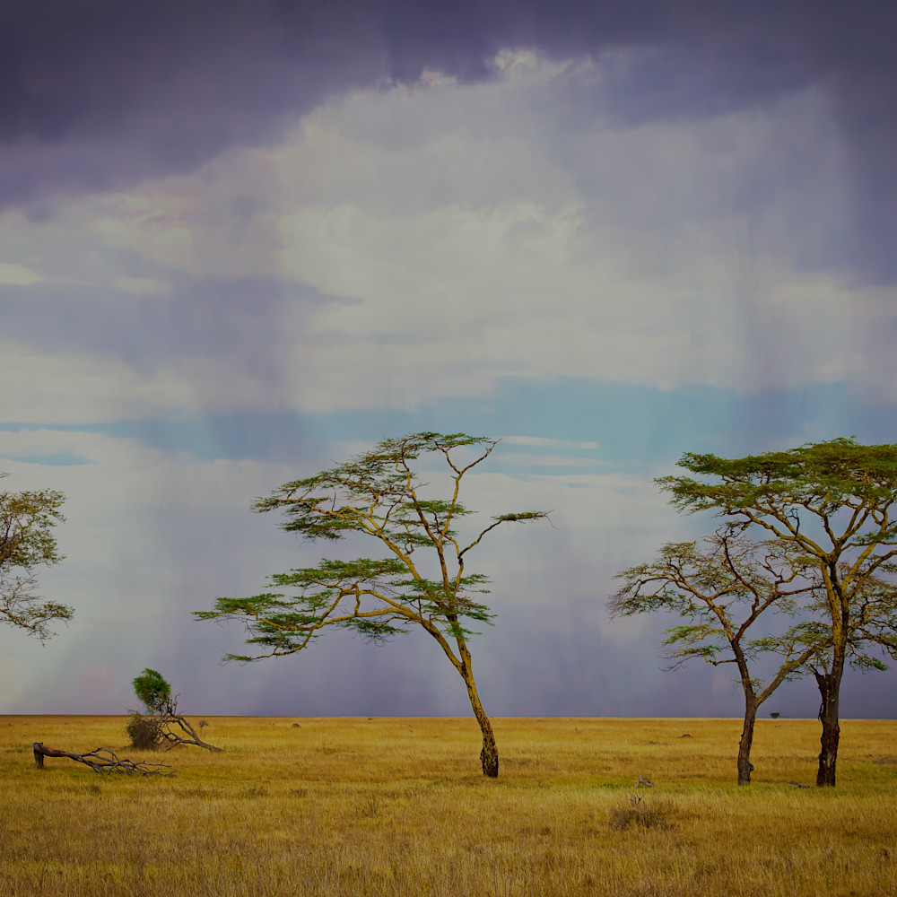 AF | Landscapes & Astro