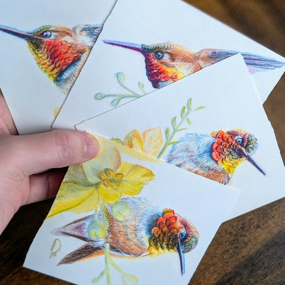 Hummingbirds - Color Pencil