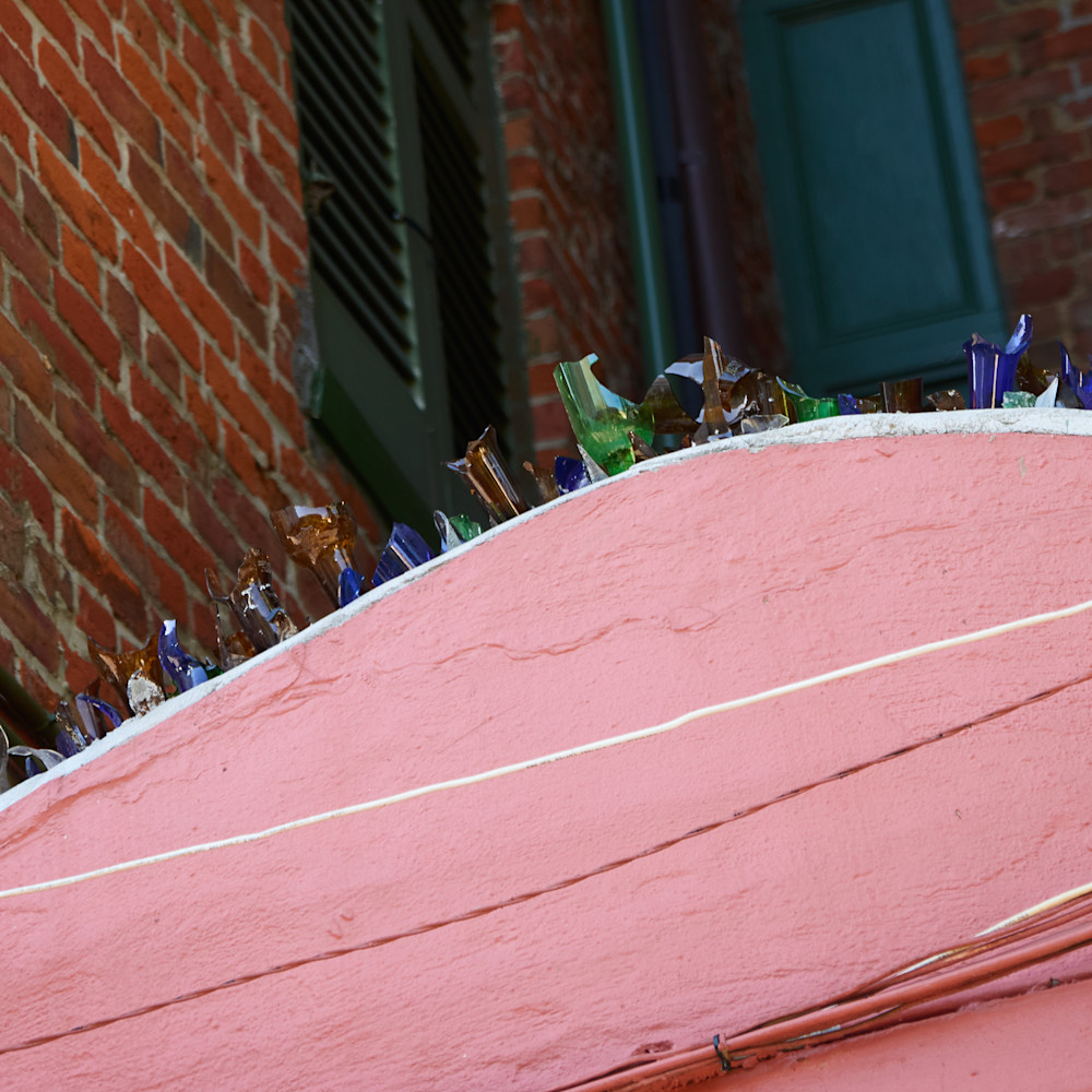 The Louisiana Collection