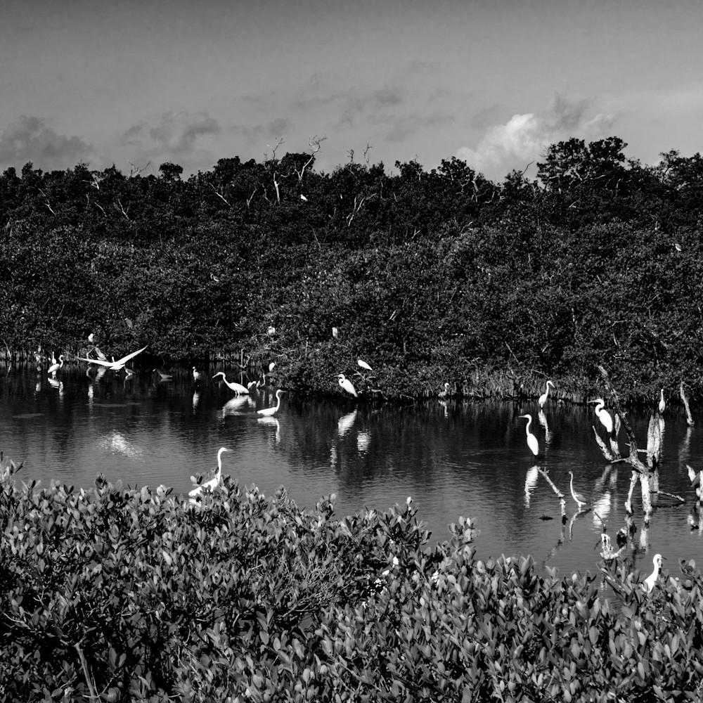 Open Landscapes – Across the Land