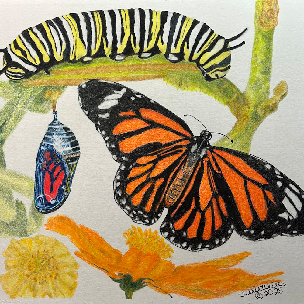 Small Flying Critters