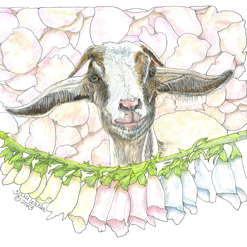Domestic Animals