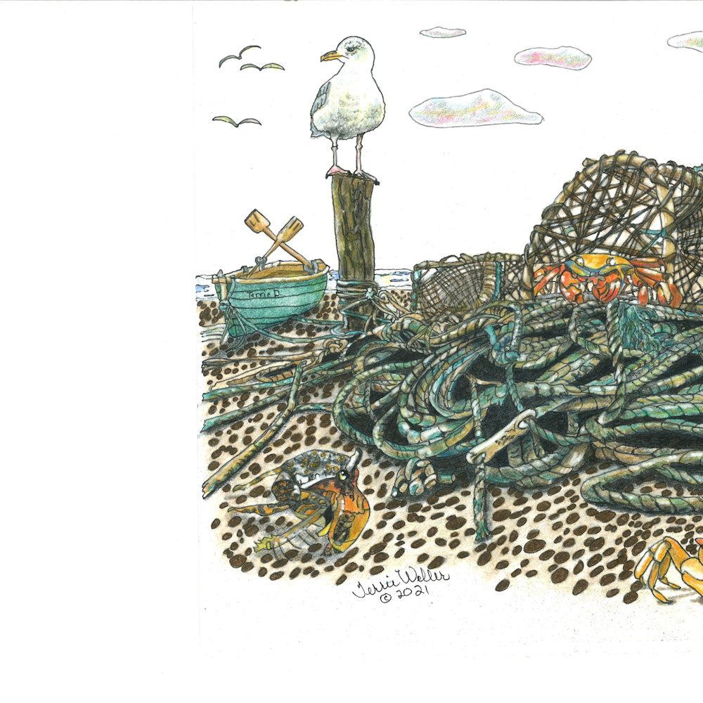 Ocean and Fish