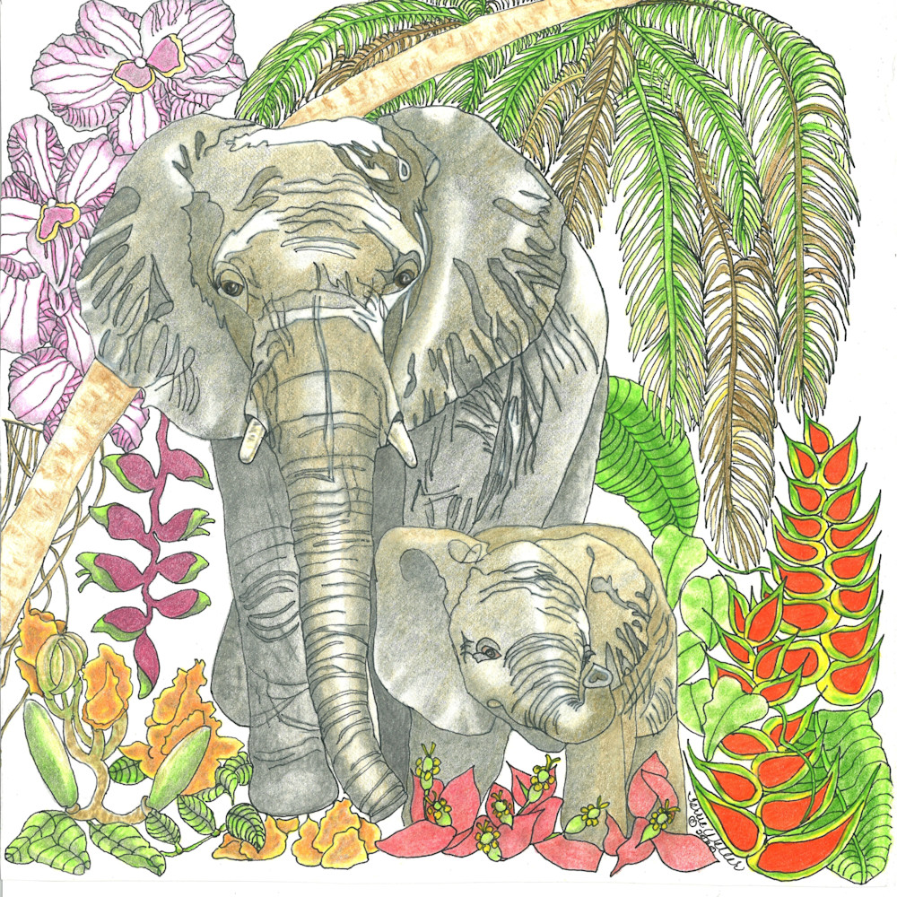 Wild Animals