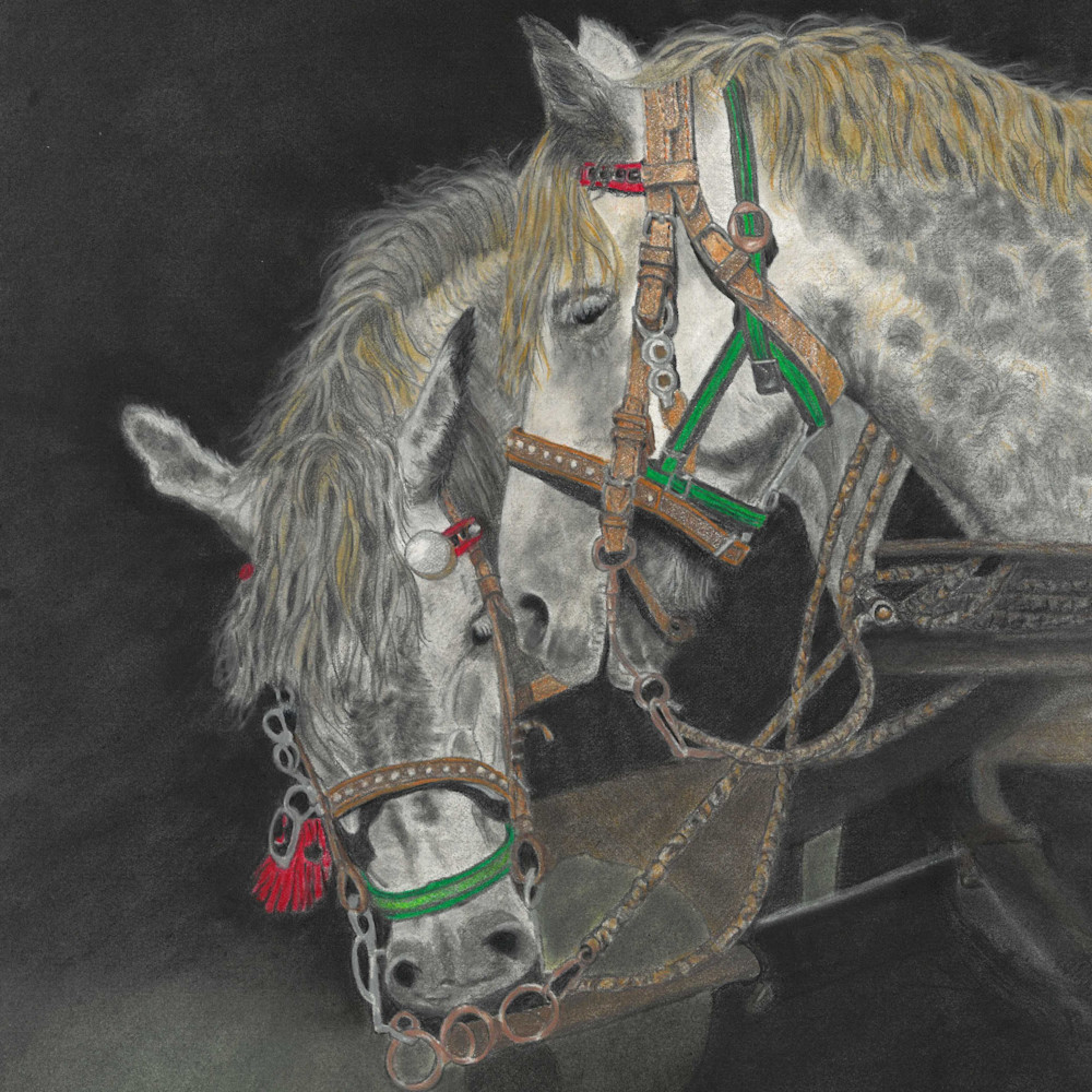 HORSES
