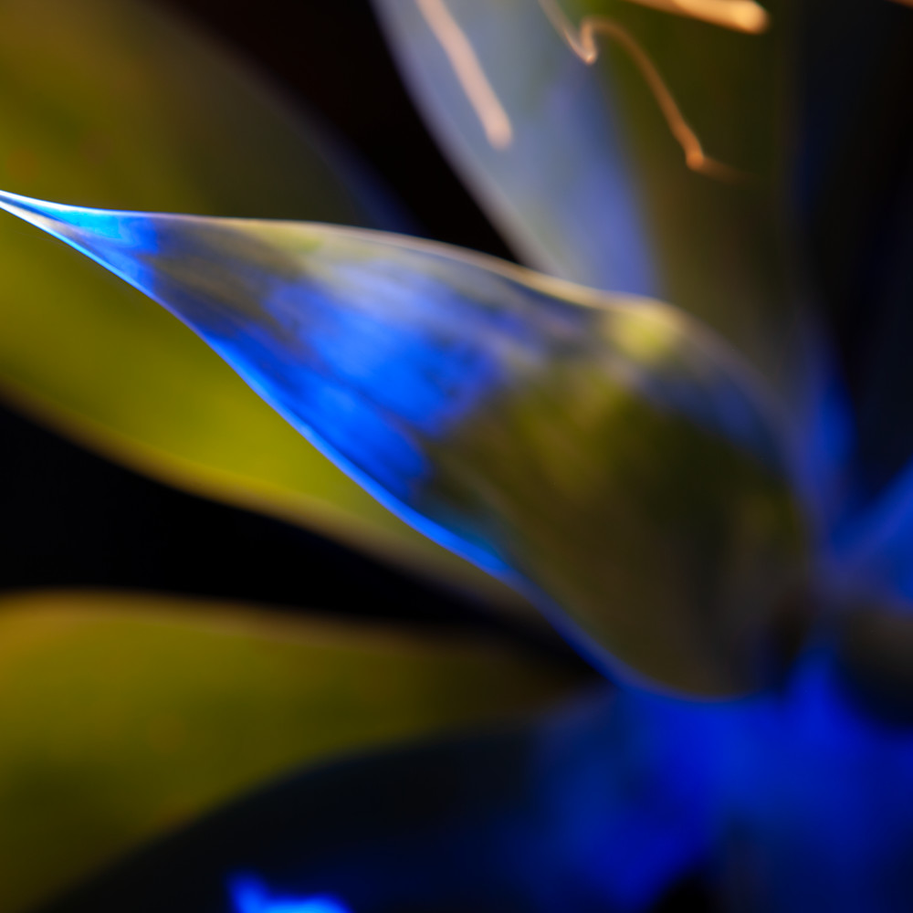 Still Life Light Painting