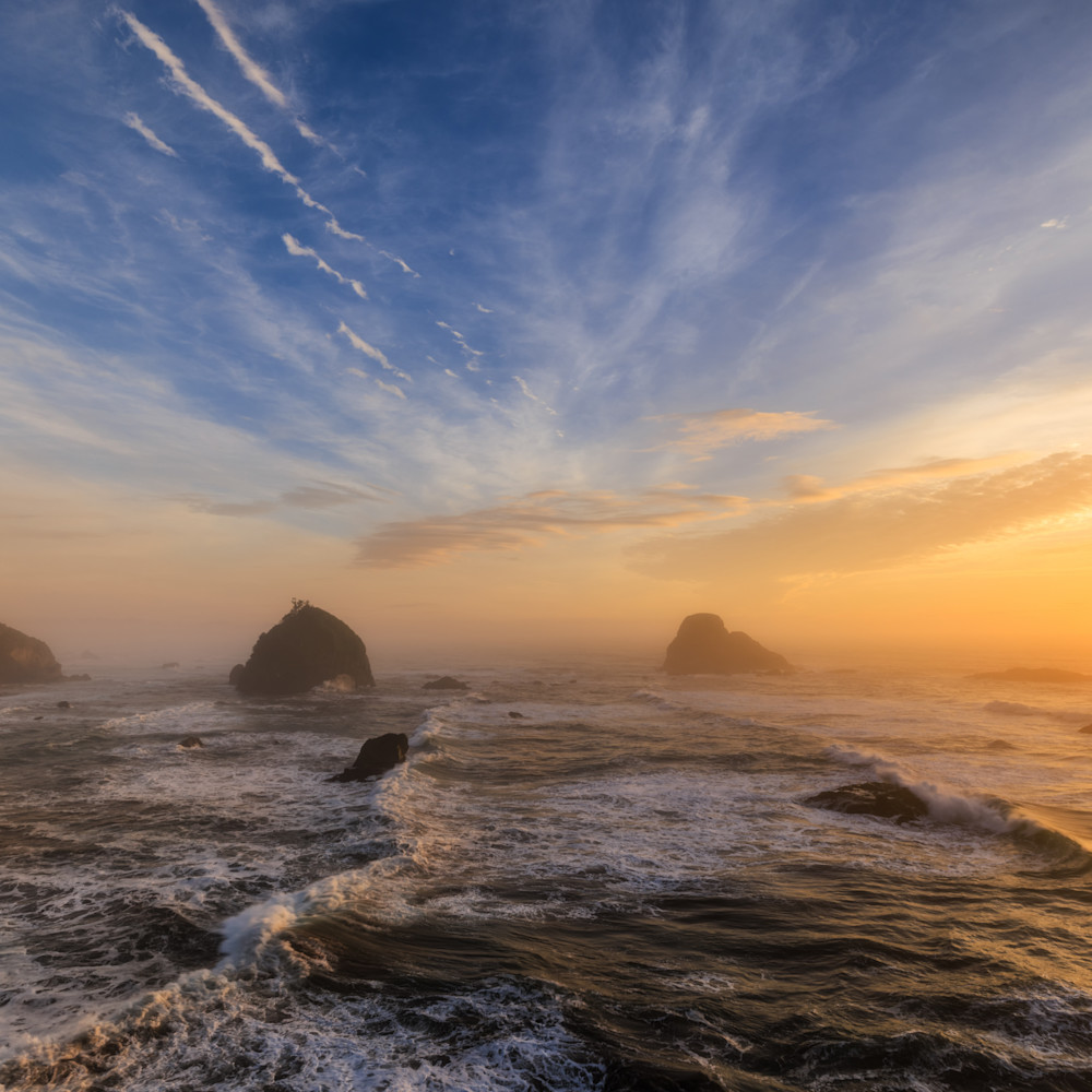 [Calendar] Photography