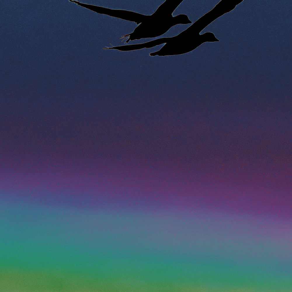 Abstract Exploratory