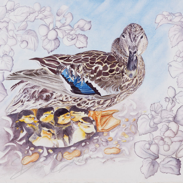 Animals - Art Prints