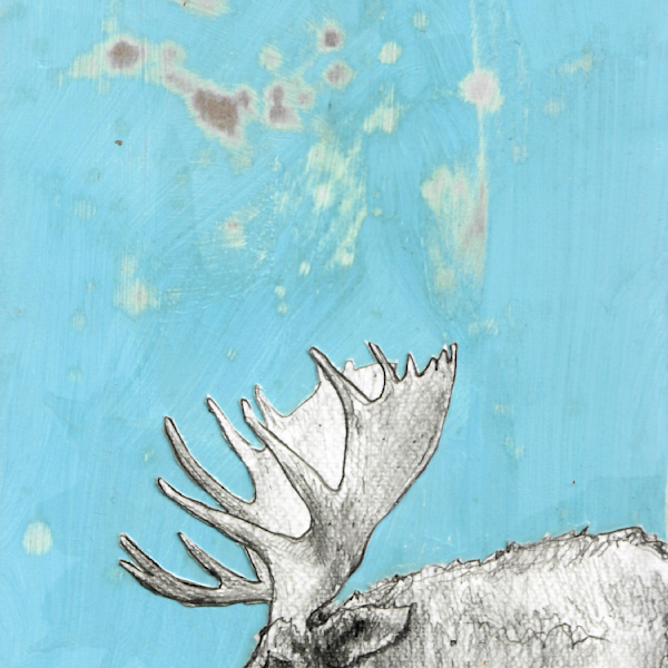Moose Series Prints